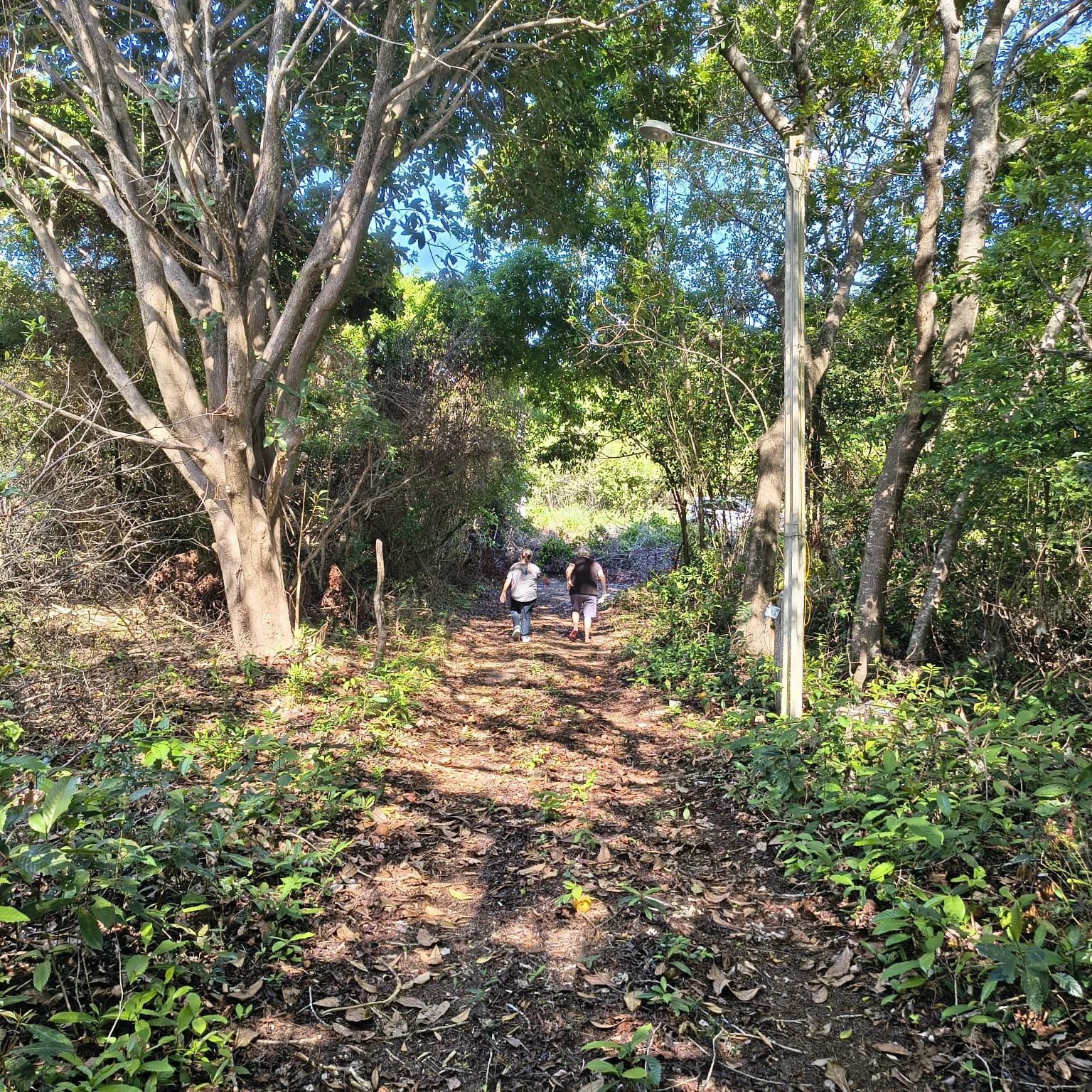 TERRENO À VENDA | BARRA DE TABATINGA I ÁREA DE 15,32 HECTARES – NÍSIA FLORESTA/RN - foto 5