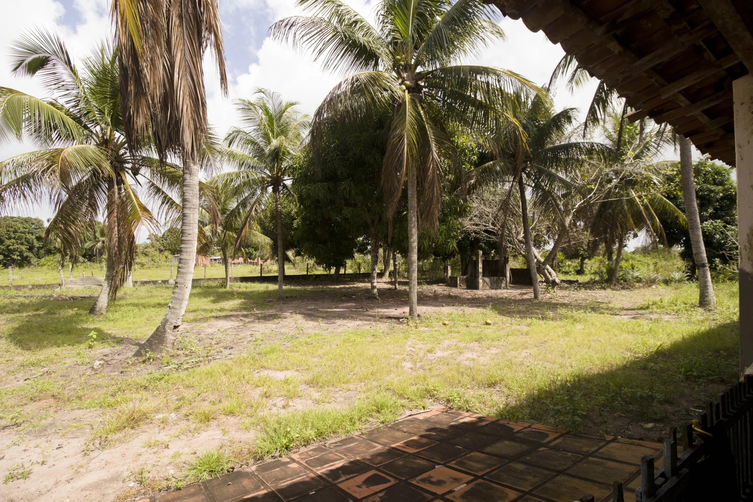 Granja com  7.758m² e 2 casas, na Lagoa do Bonfim - Nísia Floresta -RN - foto 6