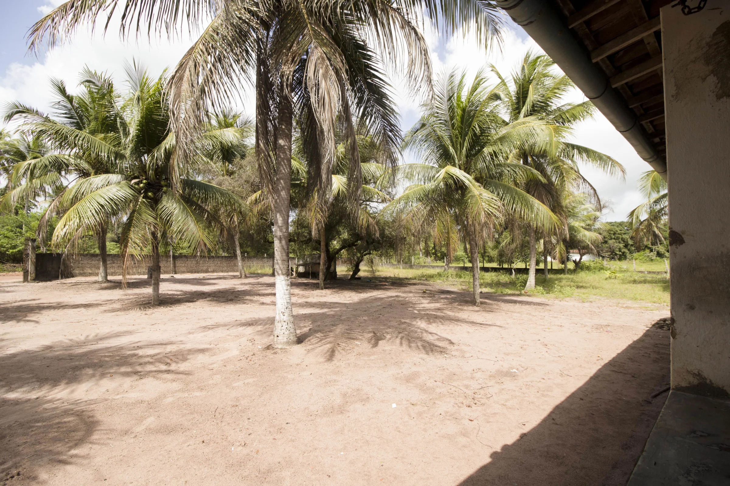 Granja com  7.758m² e 2 casas, na Lagoa do Bonfim - Nísia Floresta -RN - foto 9