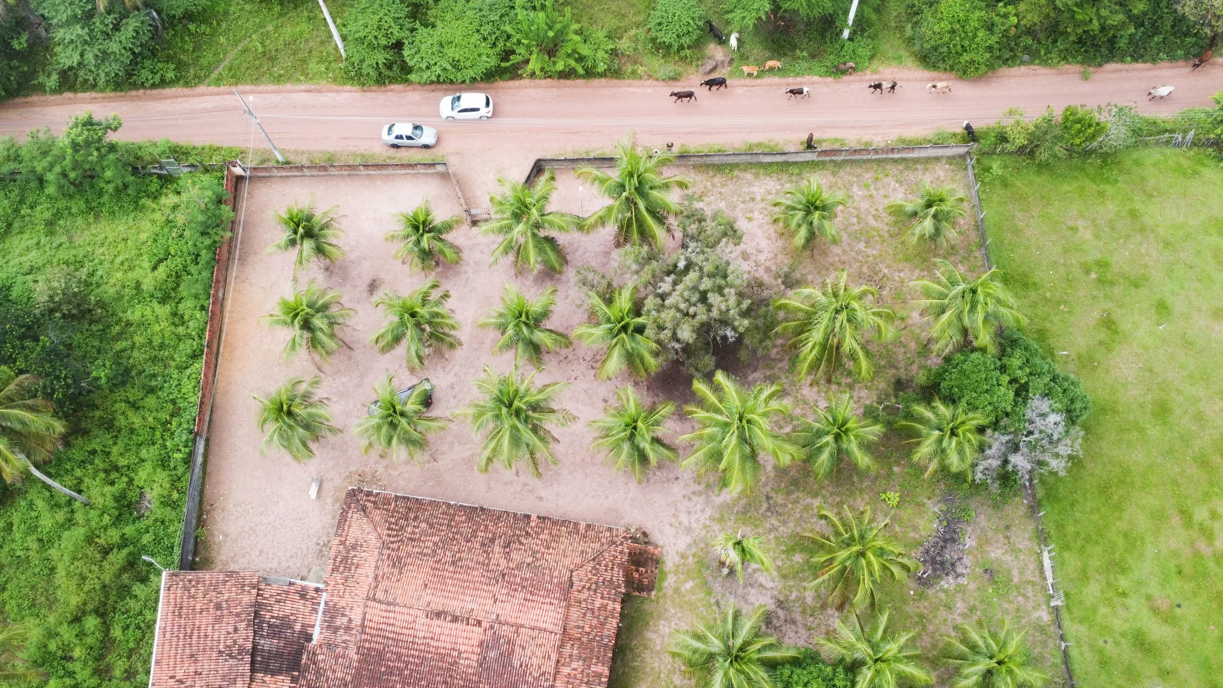 Granja com  7.758m² e 2 casas, na Lagoa do Bonfim - Nísia Floresta -RN