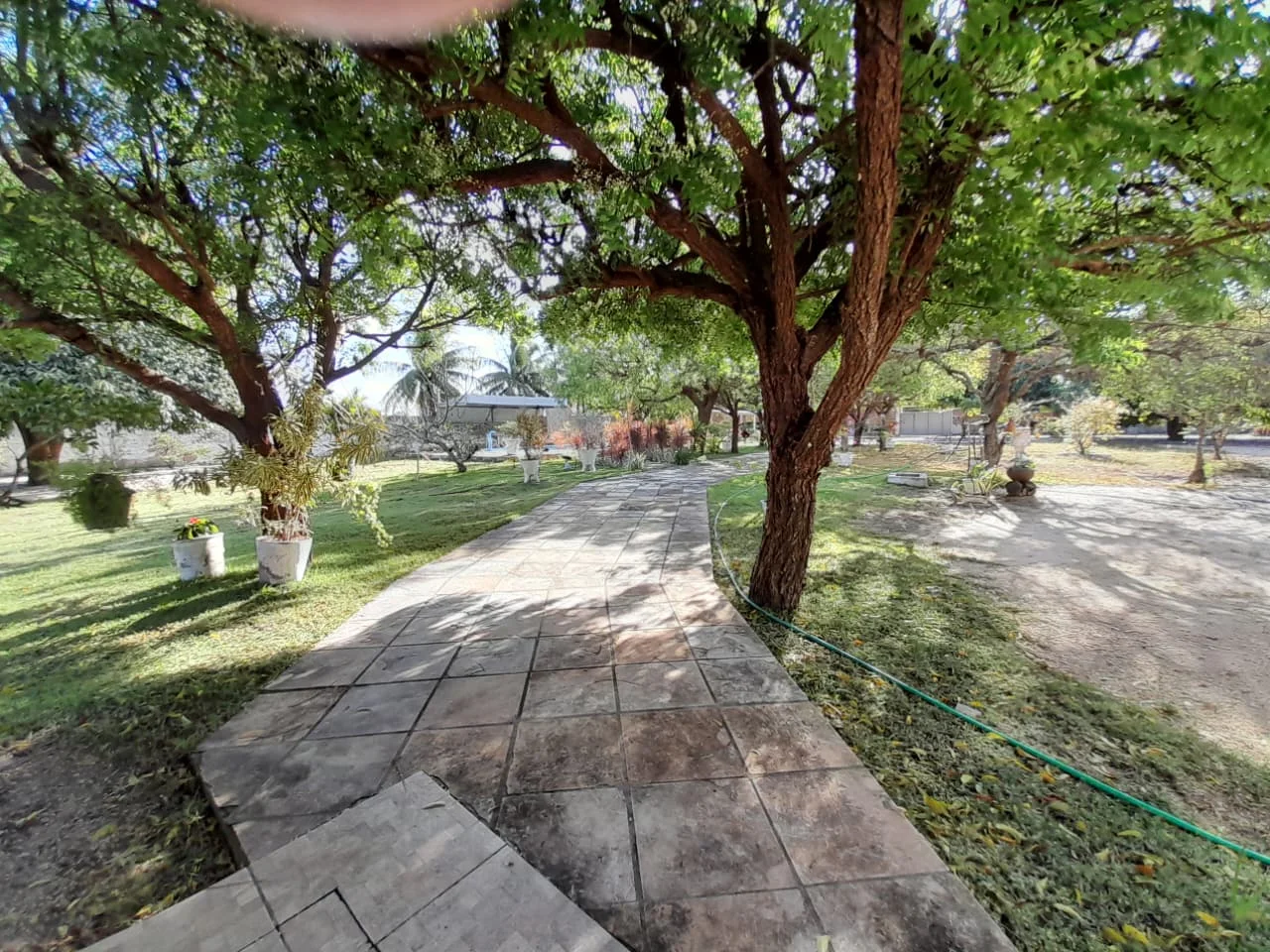 Granja com 2 casas, área total de 4.000M², no Arenã - São José de Mipibu - RN - foto 18