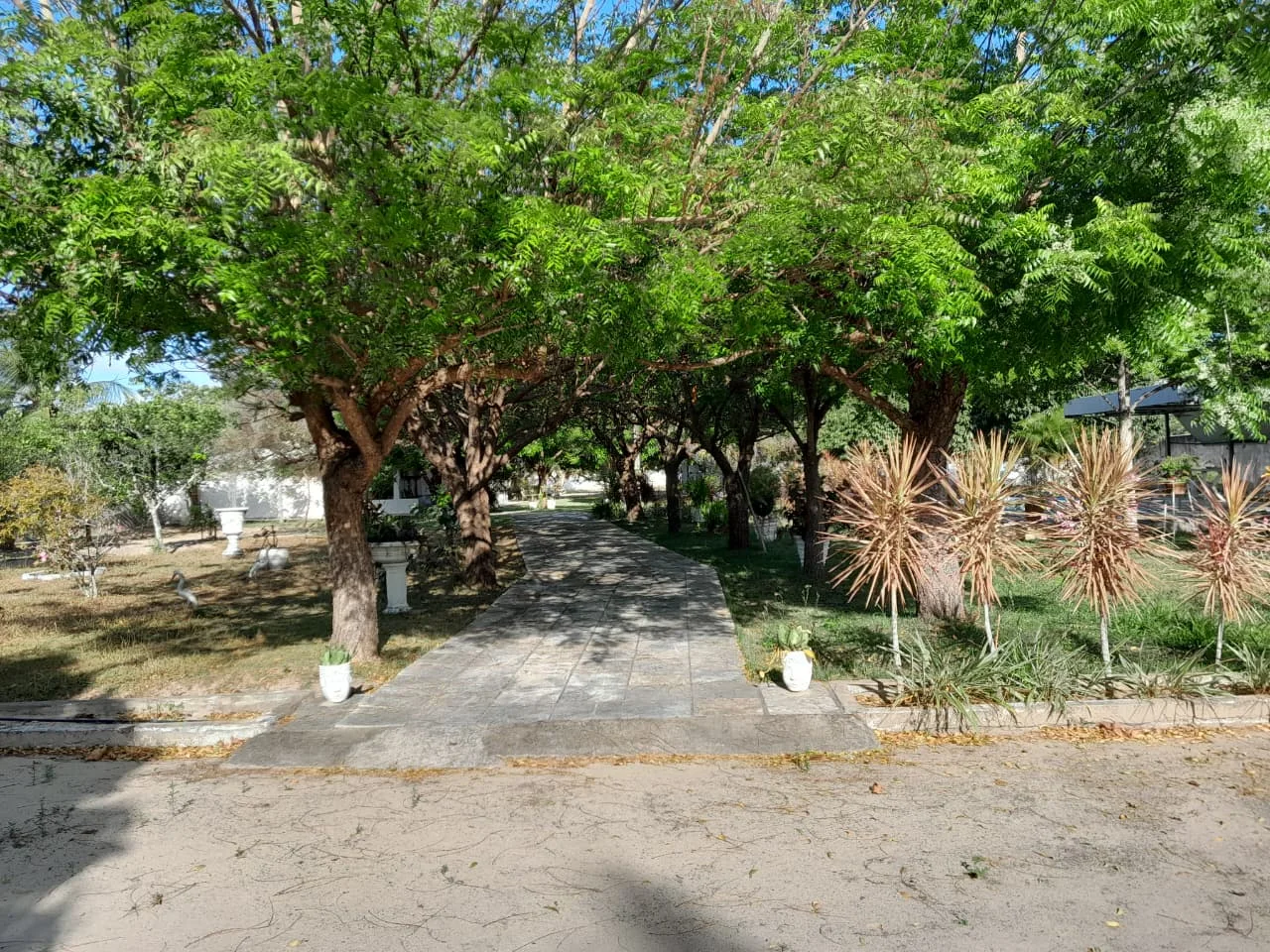 Granja com 2 casas, área total de 4.000M², no Arenã - São José de Mipibu - RN - foto 19