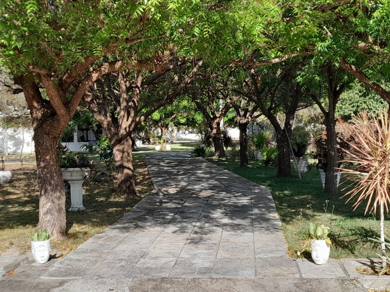 Granja com 2 casas, área total de 4.000M², no Arenã - São José de Mipibu - RN - foto 20
