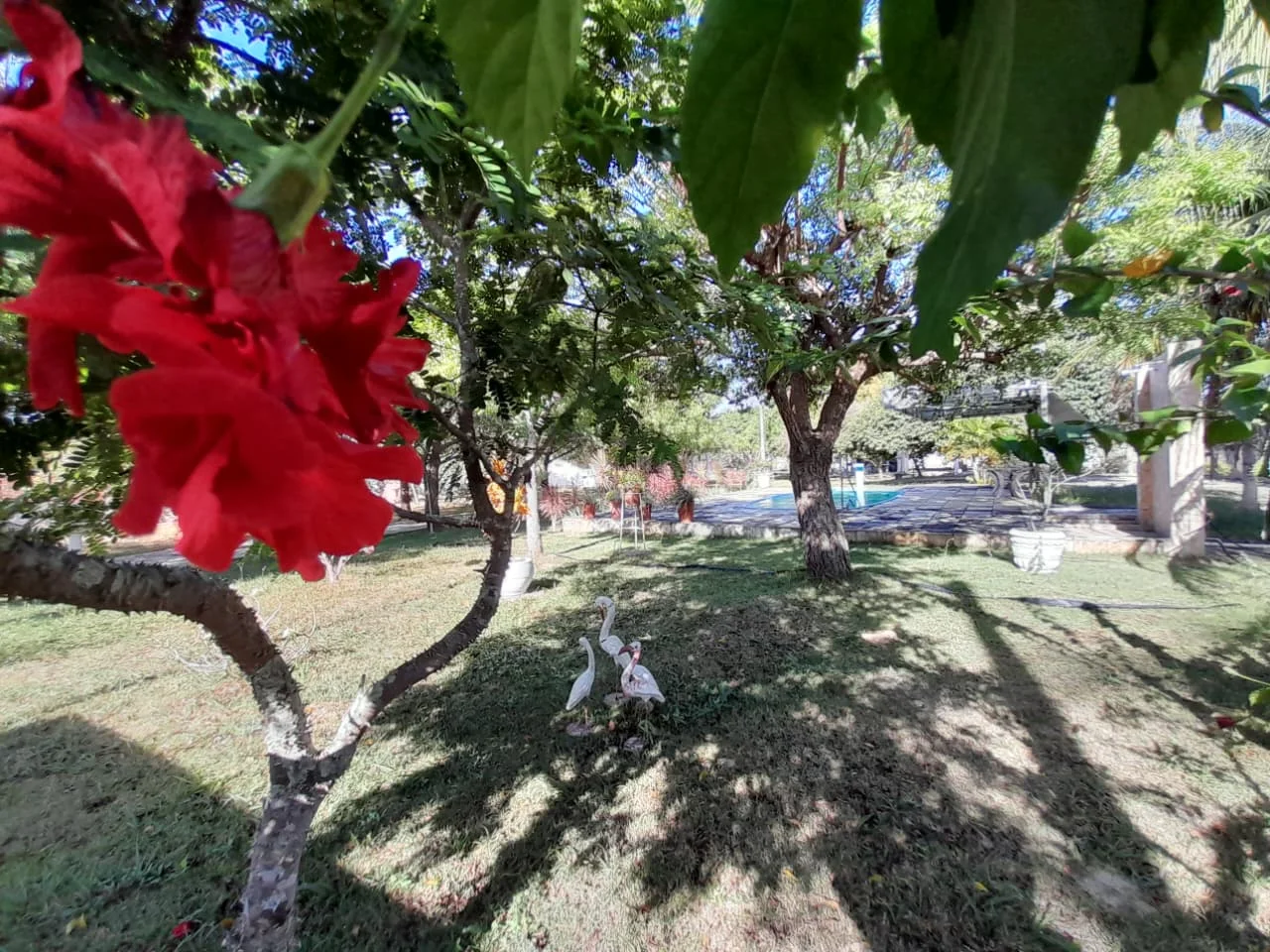Granja com 2 casas, área total de 4.000M², no Arenã - São José de Mipibu - RN