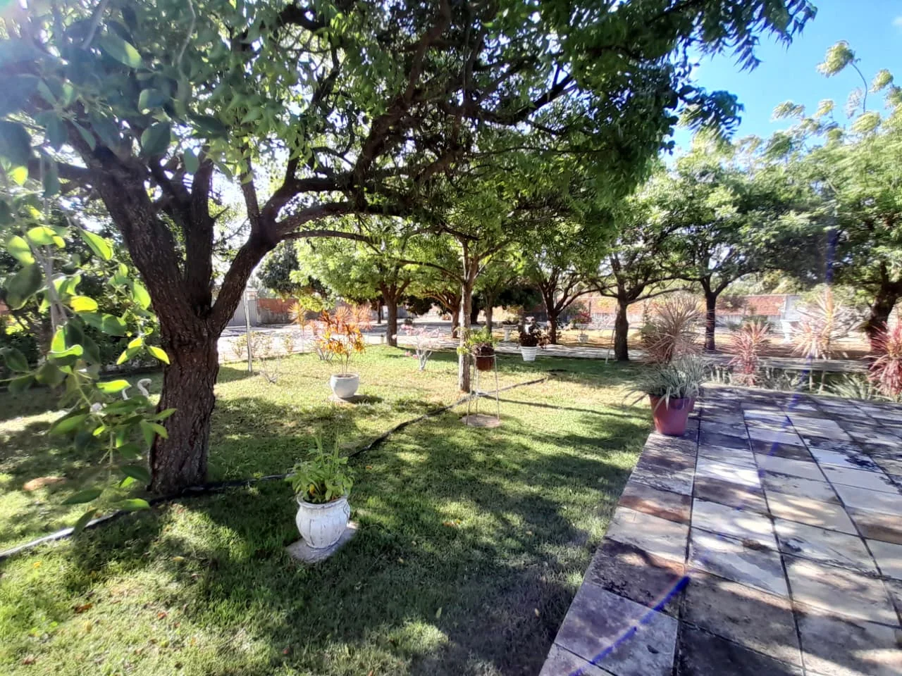 Granja com 2 casas, área total de 4.000M², no Arenã - São José de Mipibu - RN - foto 2