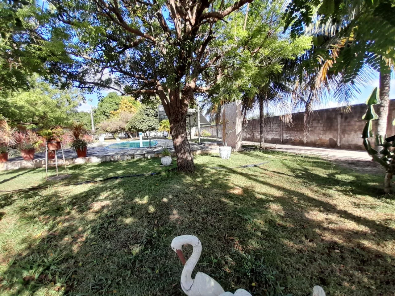 Granja com 2 casas, área total de 4.000M², no Arenã - São José de Mipibu - RN - foto 4