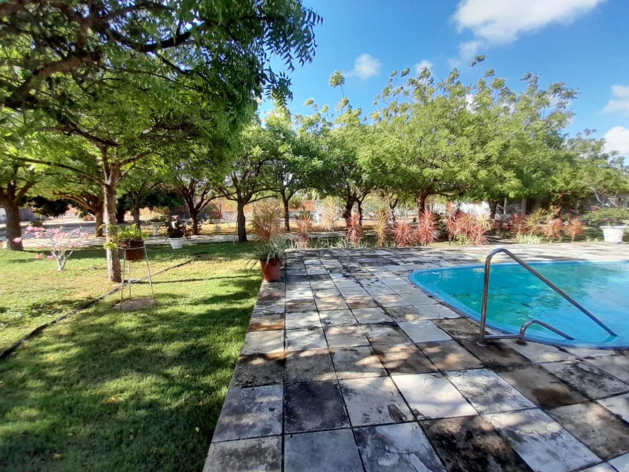 Granja com 2 casas, área total de 4.000M², no Arenã - São José de Mipibu - RN - foto 3