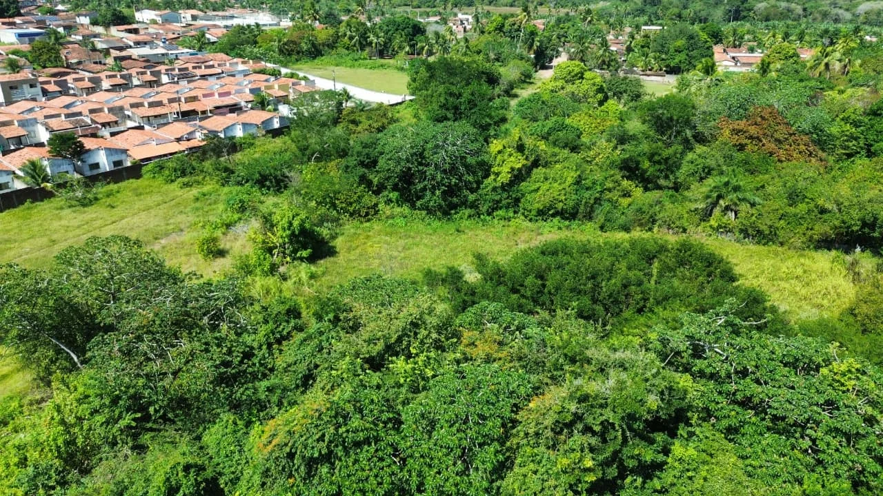 OPORTUNIDADE PARA CONSTRUTORES! 5 LOTES À VENDA NO REGOMOLEIRO — SÃO GONÇALO DO AMARANTE/RN - foto 5