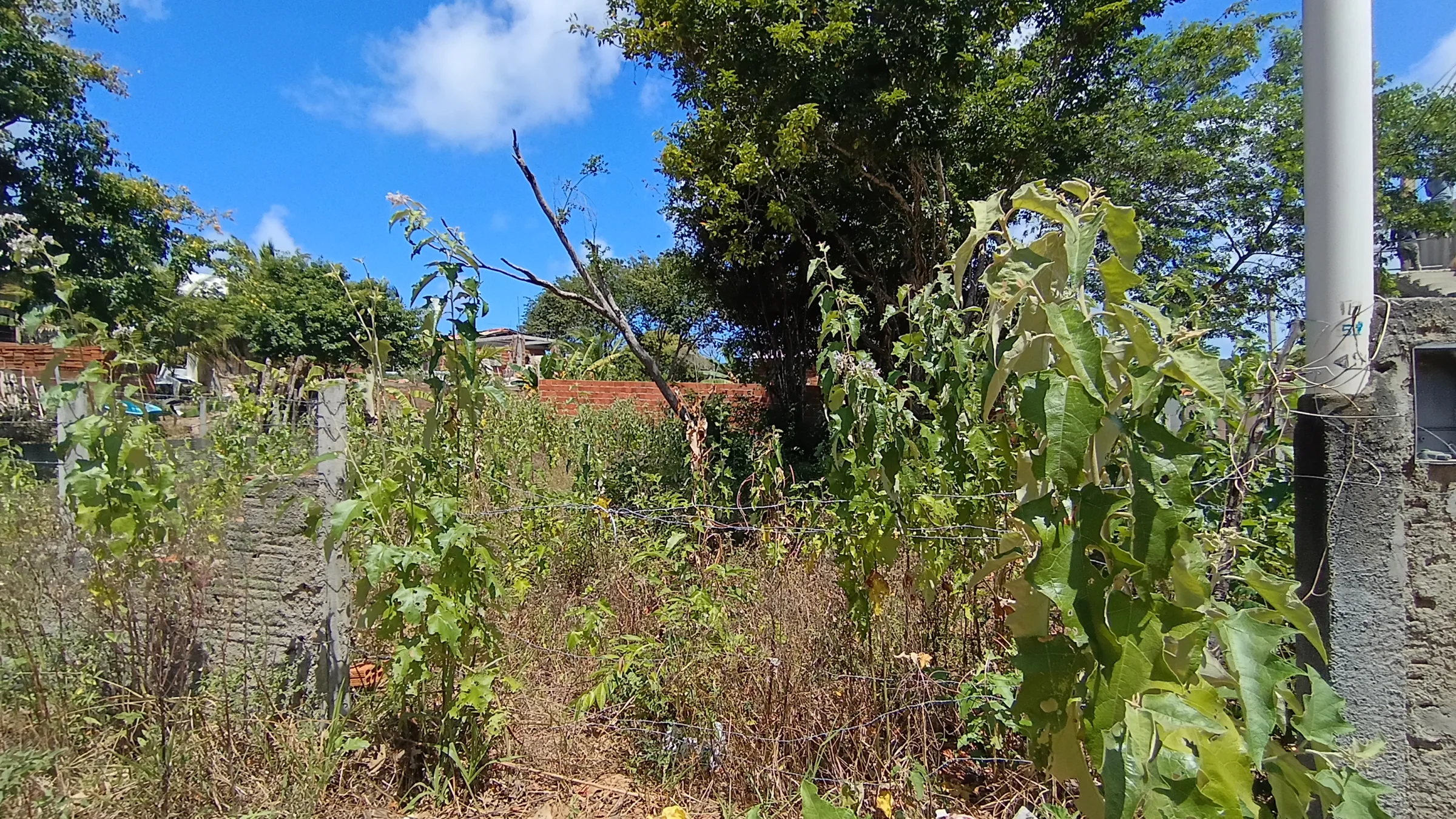 TERRENO À VENDA NA PRAIA DA PIPA/RN — 360 m² PARA INVESTIR NO LITORAL SUL POTIGUAR! - foto 6