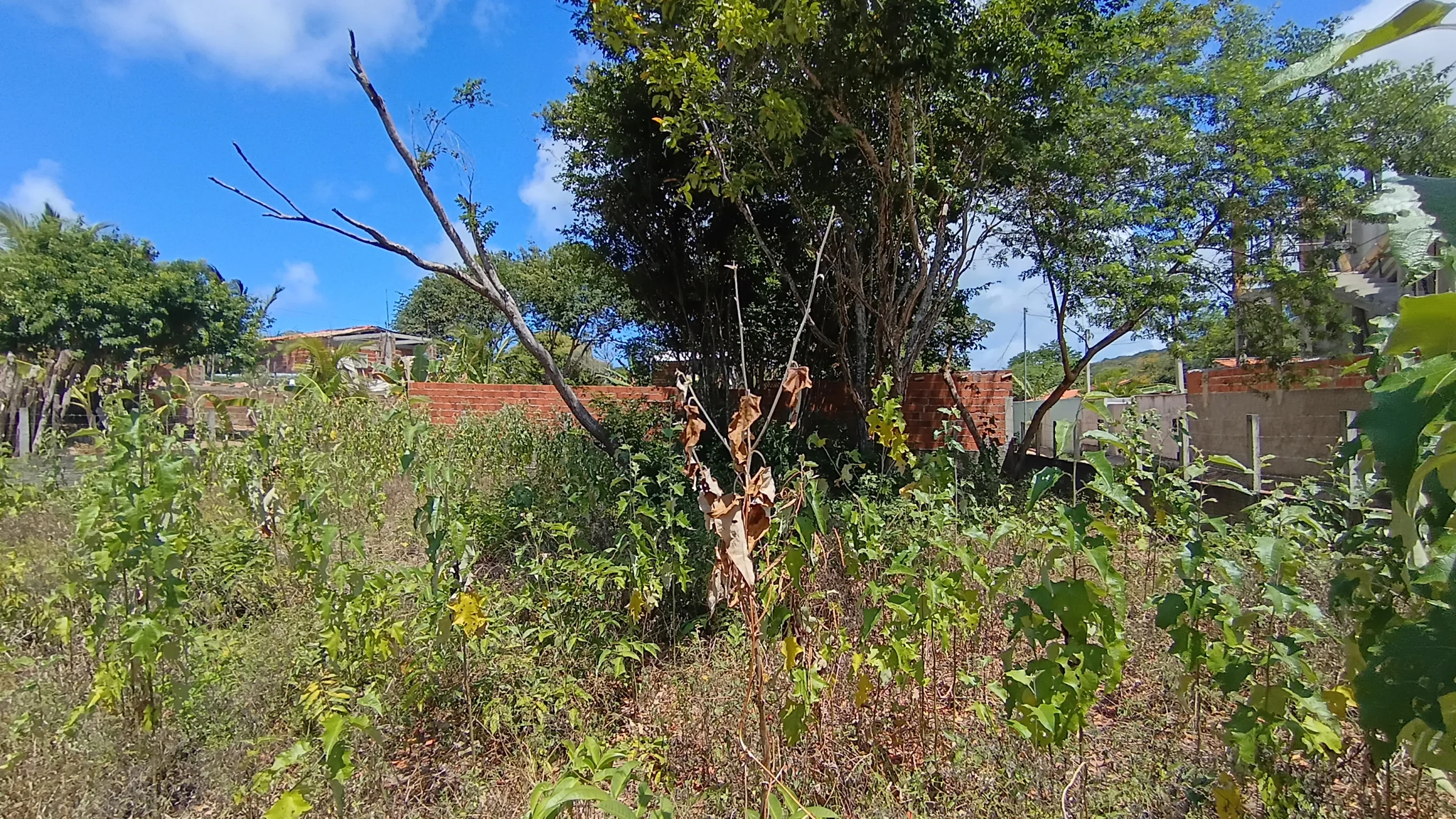 TERRENO À VENDA NA PRAIA DA PIPA/RN — 360 m² PARA INVESTIR NO LITORAL SUL POTIGUAR! - foto 5