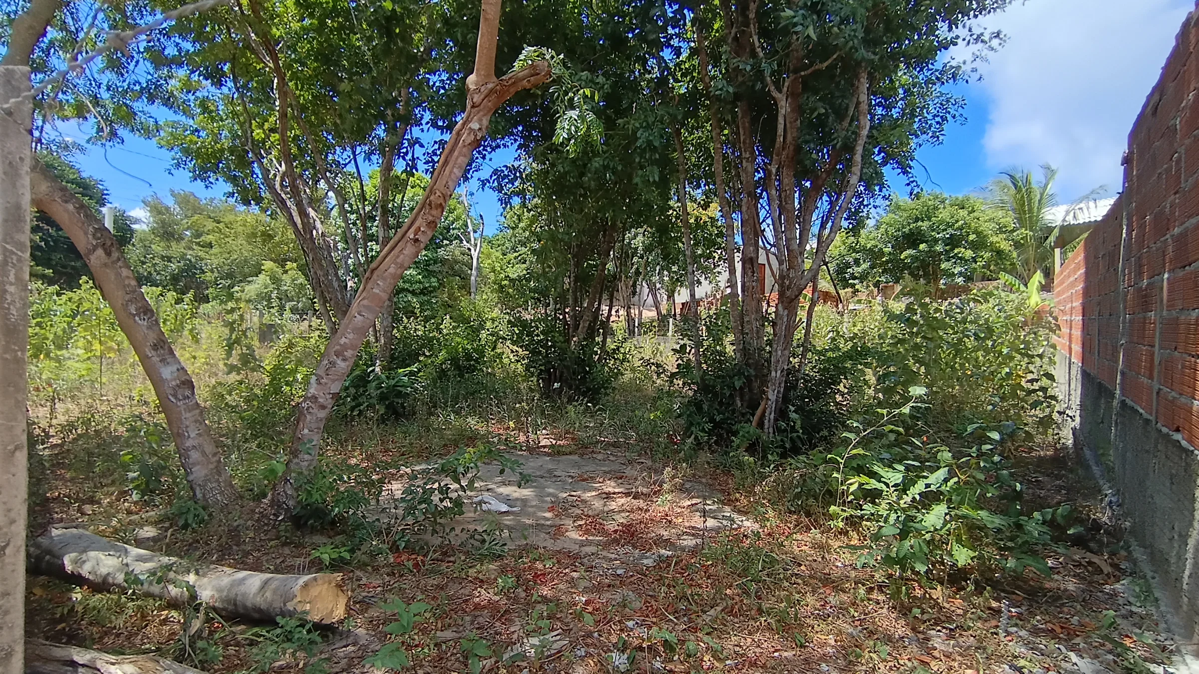 TERRENO À VENDA NA PRAIA DA PIPA/RN — 360 m² PARA INVESTIR NO LITORAL SUL POTIGUAR! - foto 11