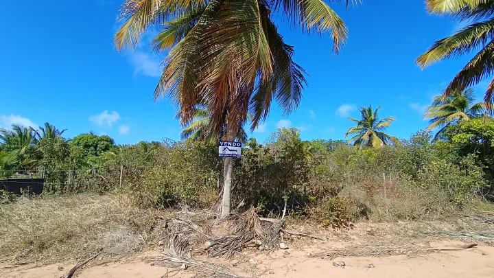 TERRENO DE 400 m² À VENDA NA PRAIA DE SIBAÚMA – TIBAU DO SUL/RN - foto 3