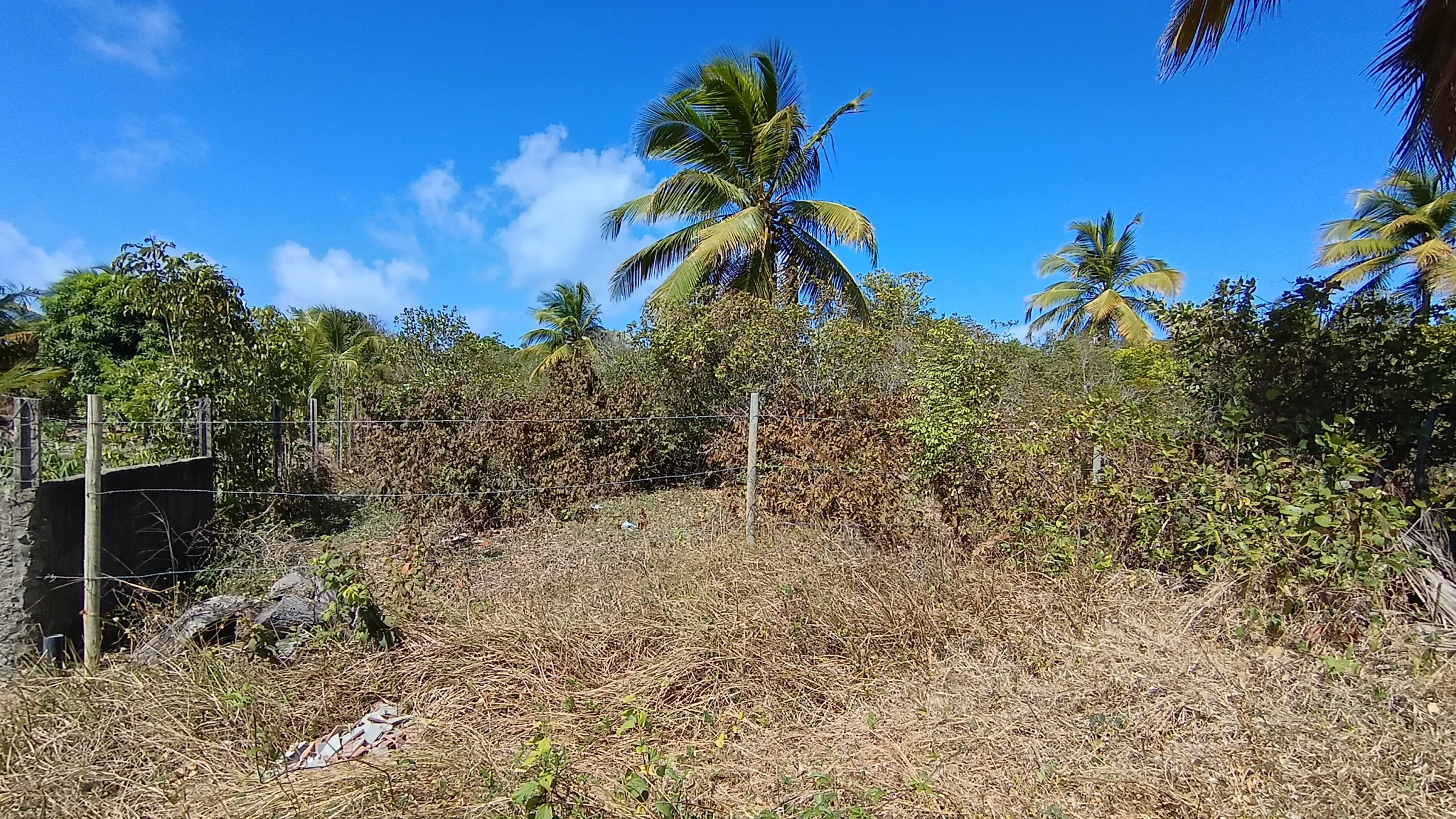 TERRENO DE 400 m² À VENDA NA PRAIA DE SIBAÚMA – TIBAU DO SUL/RN - foto 5