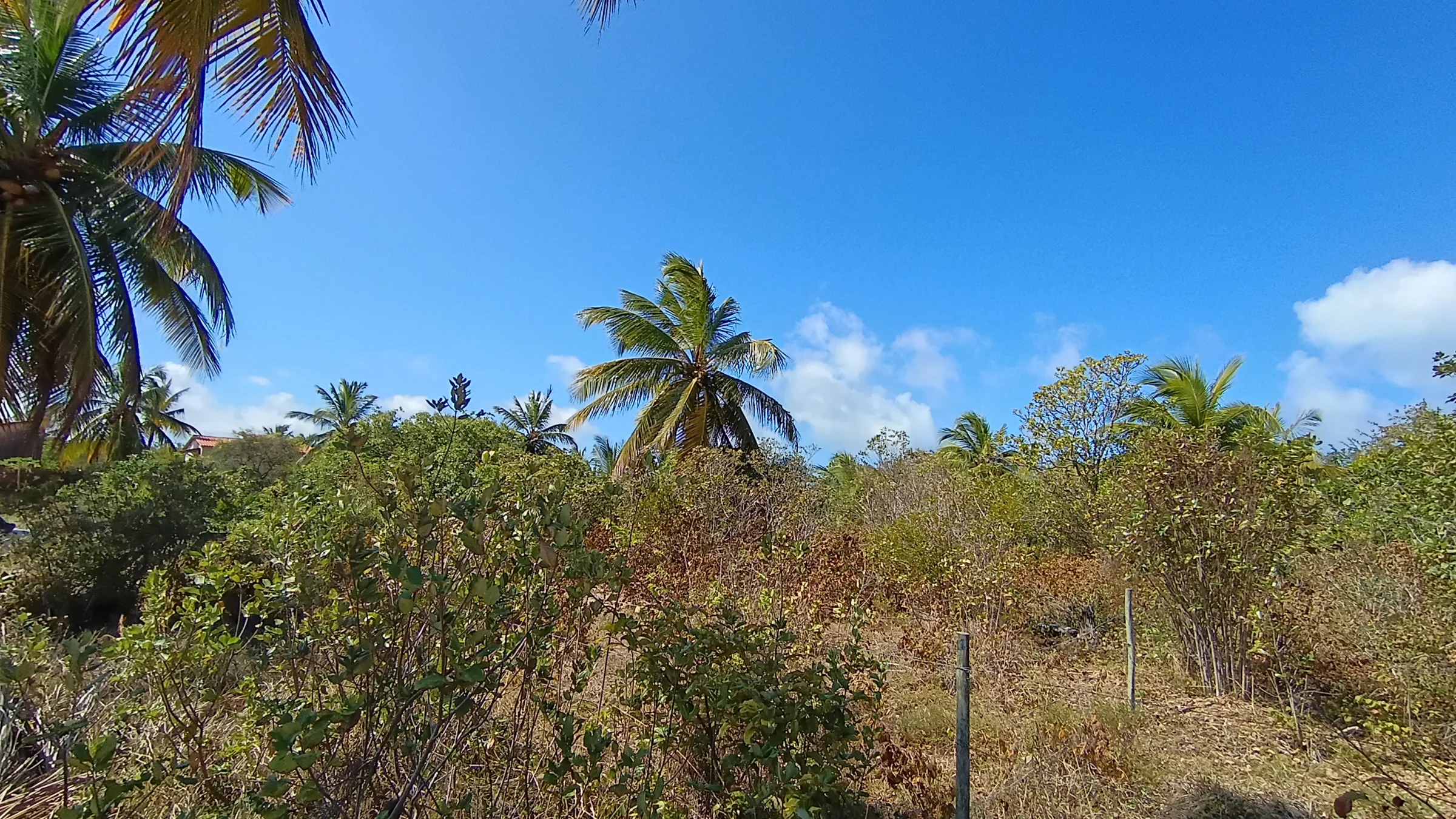 TERRENO DE 400 m² À VENDA NA PRAIA DE SIBAÚMA – TIBAU DO SUL/RN - foto 7