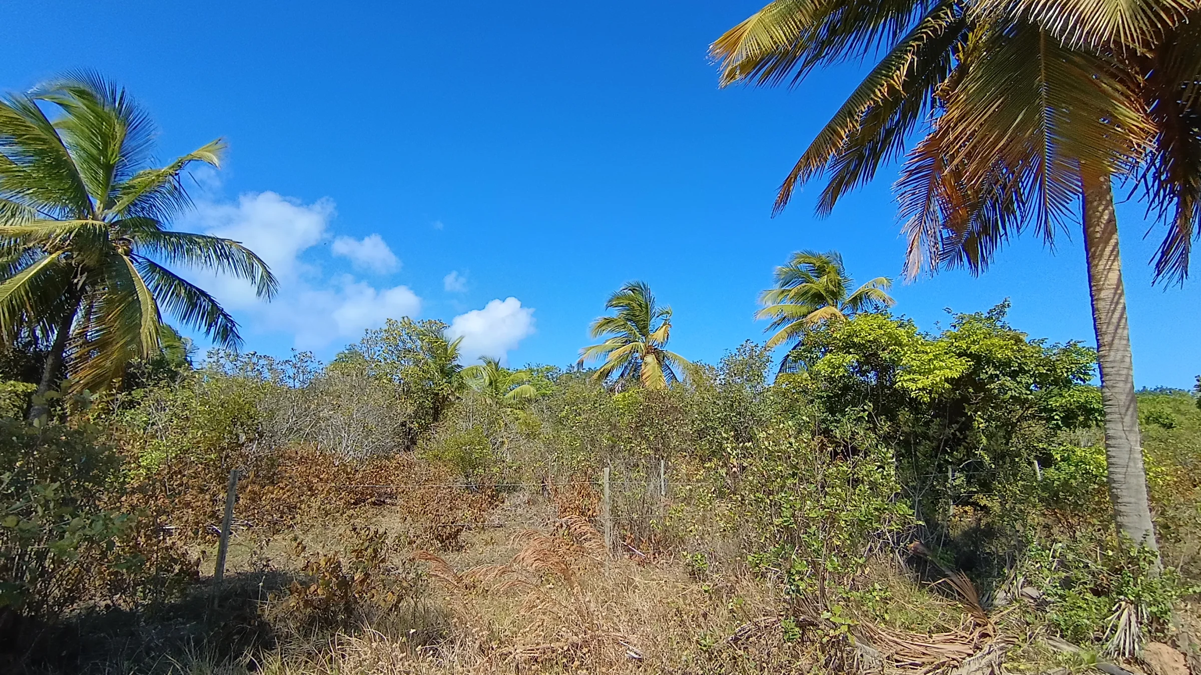 TERRENO DE 400 m² À VENDA NA PRAIA DE SIBAÚMA – TIBAU DO SUL/RN - foto 8
