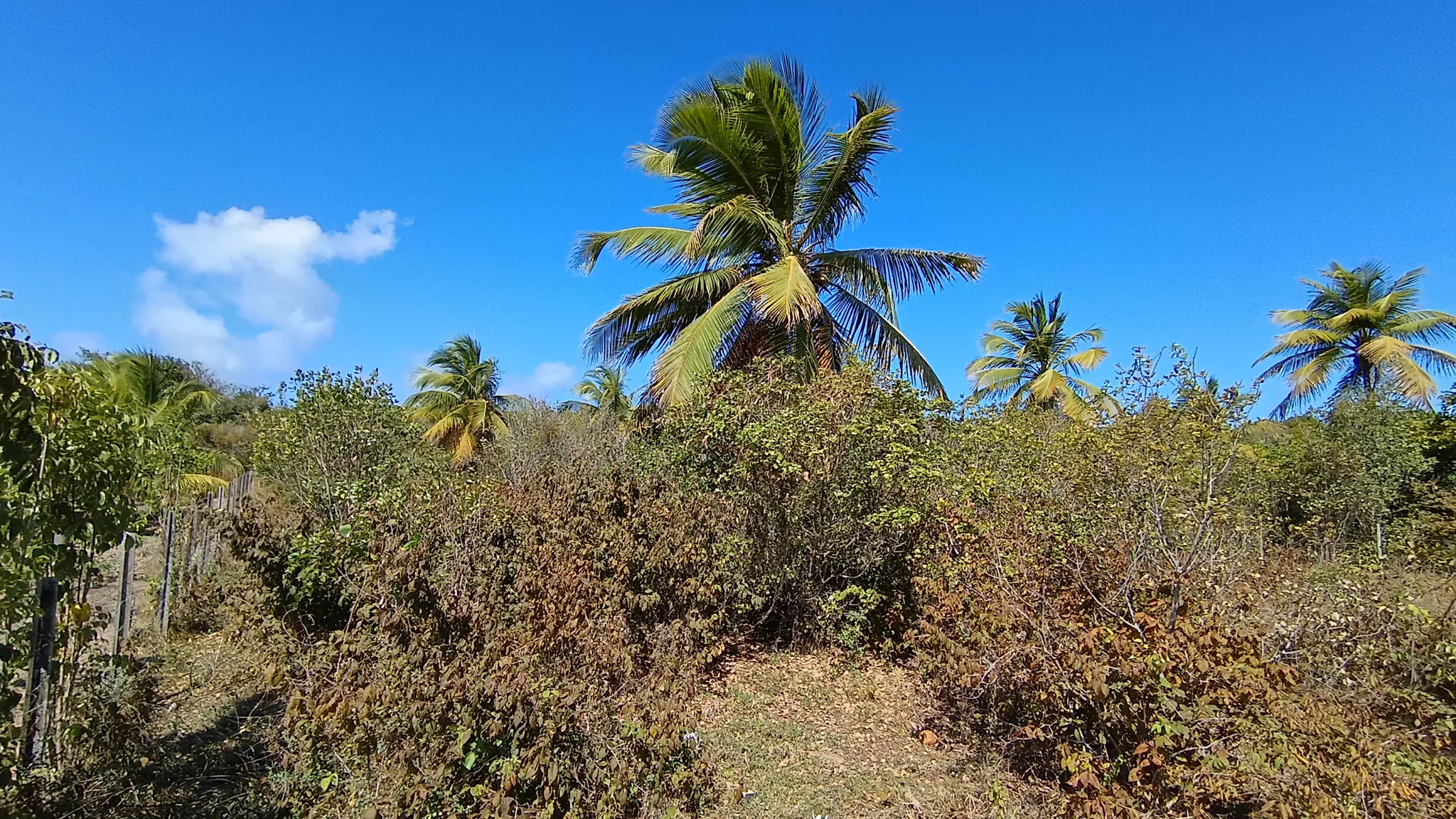 TERRENO DE 400 m² À VENDA NA PRAIA DE SIBAÚMA – TIBAU DO SUL/RN - foto 9