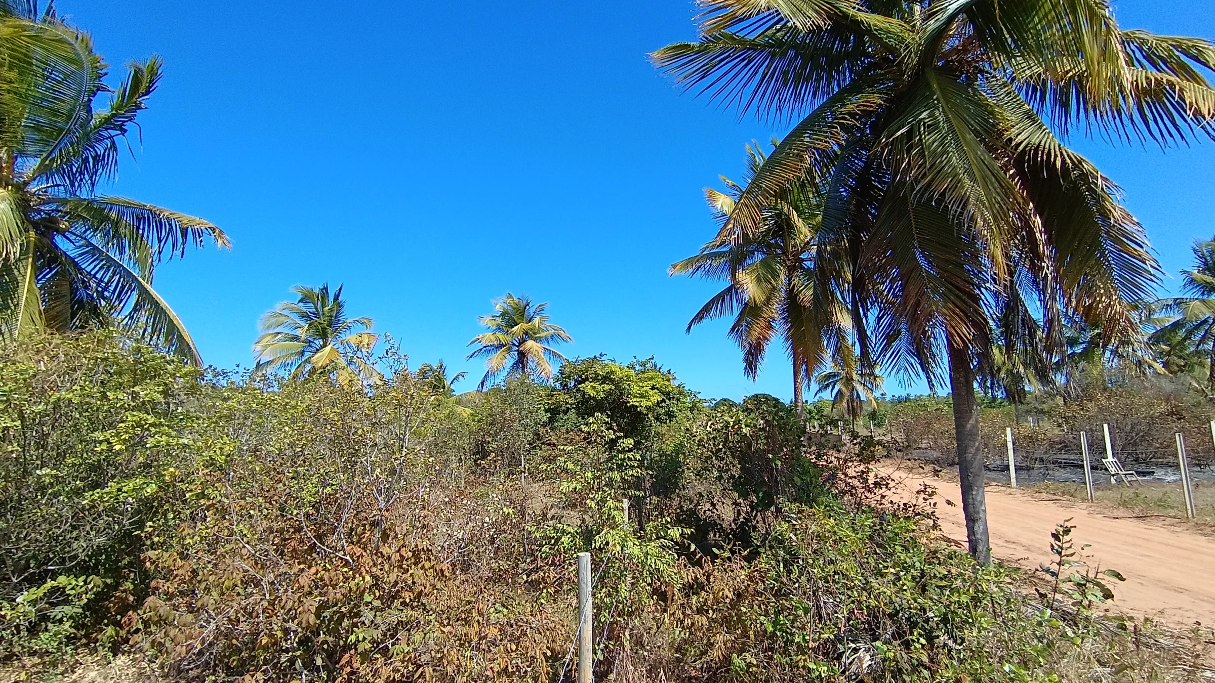 TERRENO DE 400 m² À VENDA NA PRAIA DE SIBAÚMA – TIBAU DO SUL/RN - foto 10