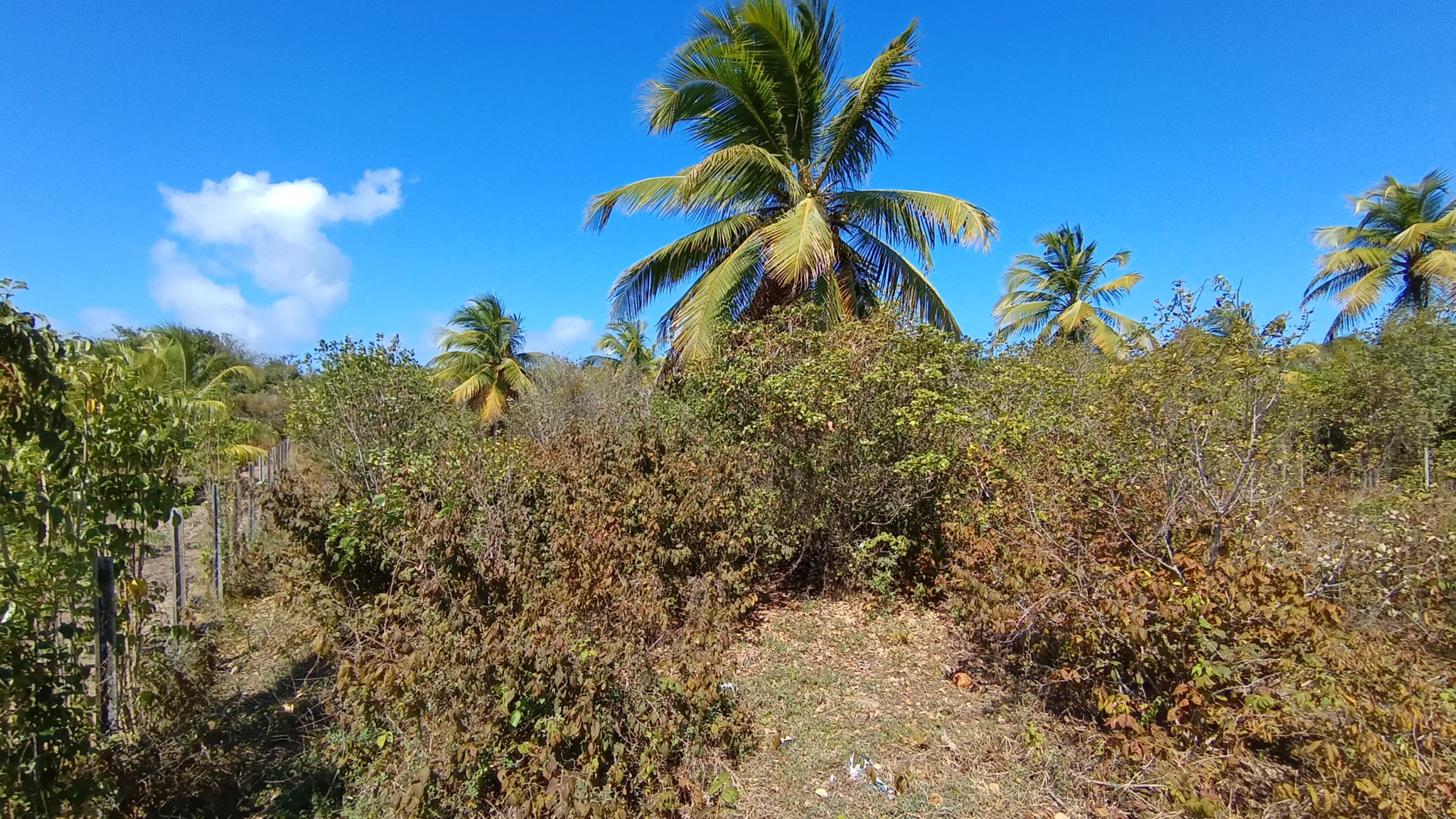 TERRENO DE 400 m² À VENDA NA PRAIA DE SIBAÚMA – TIBAU DO SUL/RN - foto 11