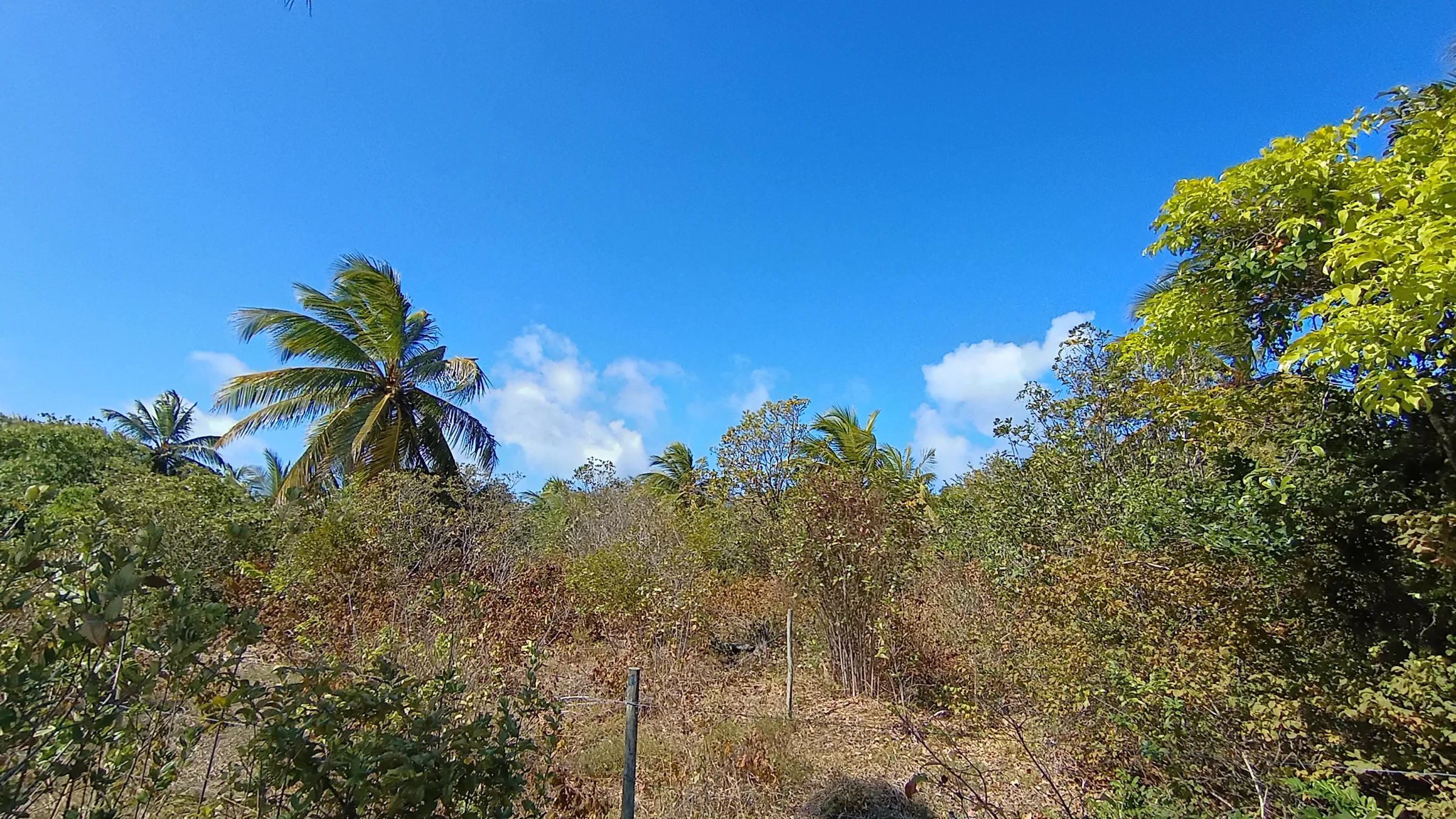 TERRENO DE 400 m² À VENDA NA PRAIA DE SIBAÚMA – TIBAU DO SUL/RN - foto 12